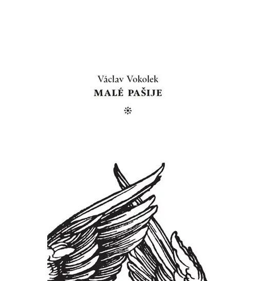 Malé pašije - Václav Vokolek