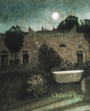 Chůze v šeru a jiné příběhy - Alžběta Skálová
