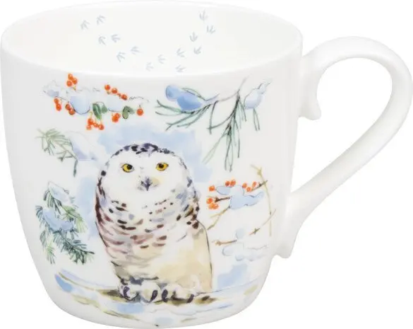 Winter Owl - zimní sova