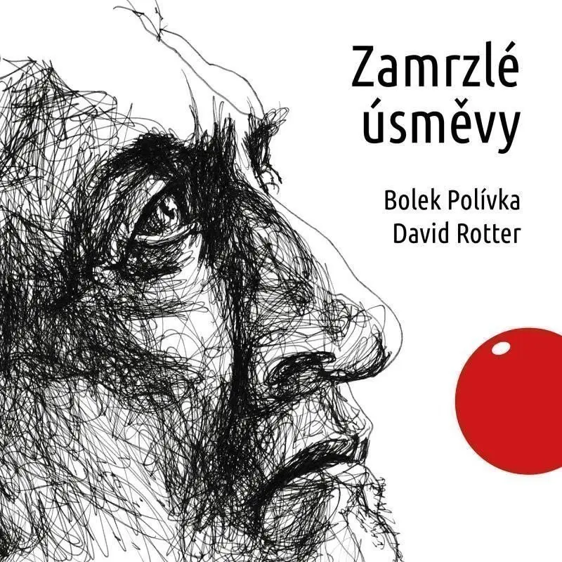 Zamrzlé úsměvy (audiokniha) - David Rotter