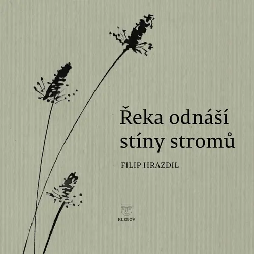 Řeka odnáší stíny stromů - Filip Hrazdil