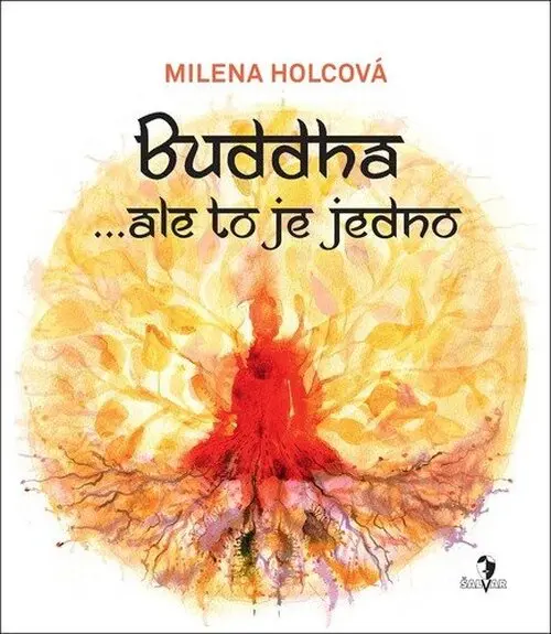 Buddha...ale to je jedno - Milena Holcová