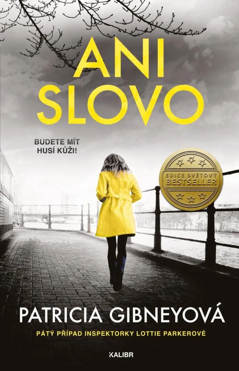 Ani slovo - Patricia Gibneyová