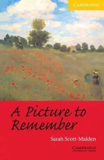 Picture to Remember -  kolektiv autorů