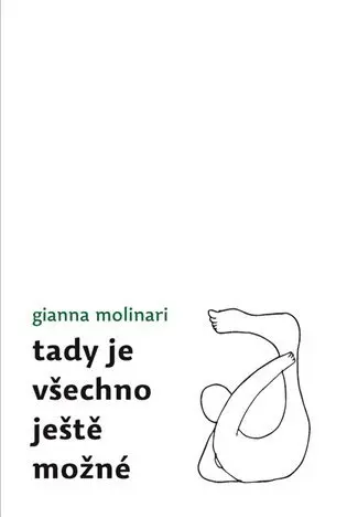 Tady je všechno ještě možné - Gianna Molinari