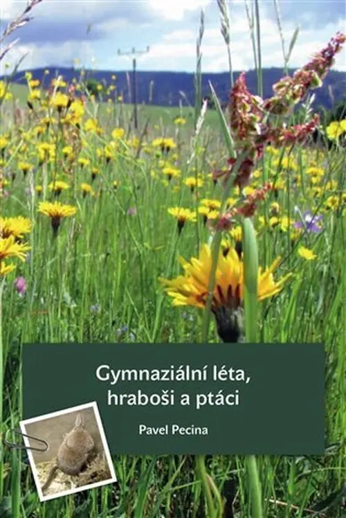 Kniha celestýnčiny kouzelné kuličky