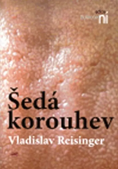 Šedá korouhev - Vladislav Reisinger