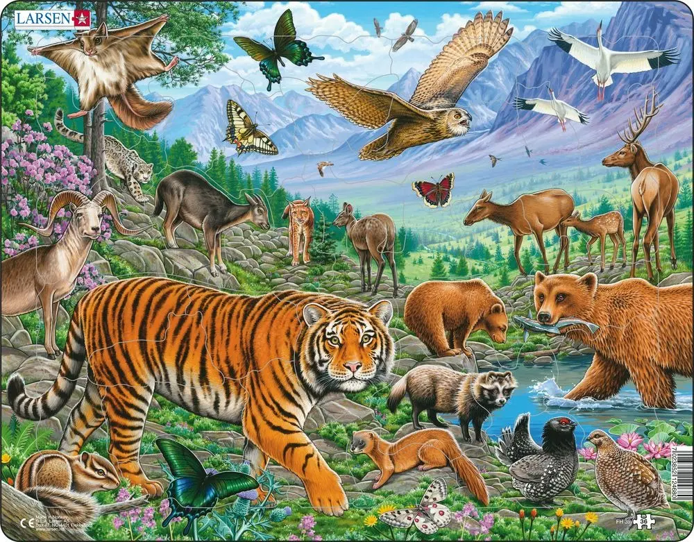 Puzzle MAXI - Amurský tygr v sibiřském létě/36 dílků - Kohoutová auta