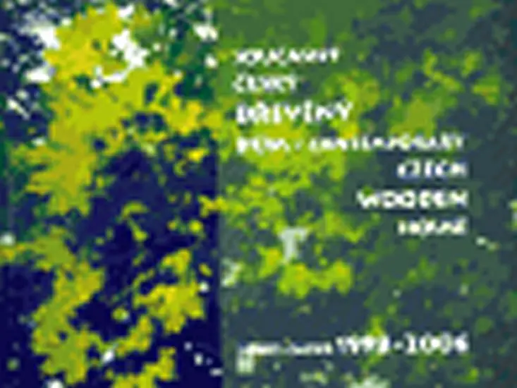 Současný český dřevěný dům - Výběr 1998-2006 - kolektiv autorů