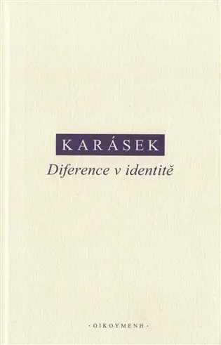 Diference v identitě - Jindřich Karásek