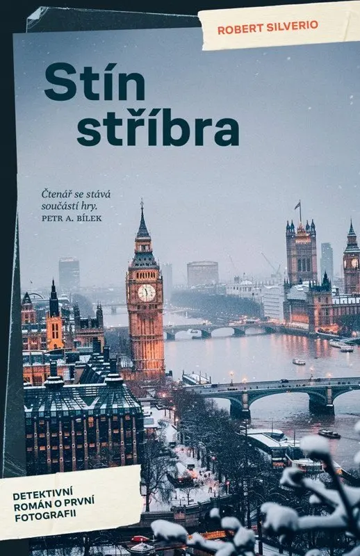 Stín stříbra - Robert Silverio