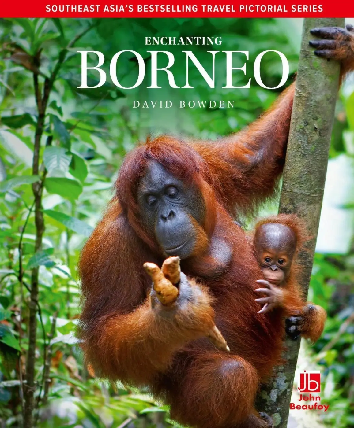 Enchanting Borneo - David Bowden