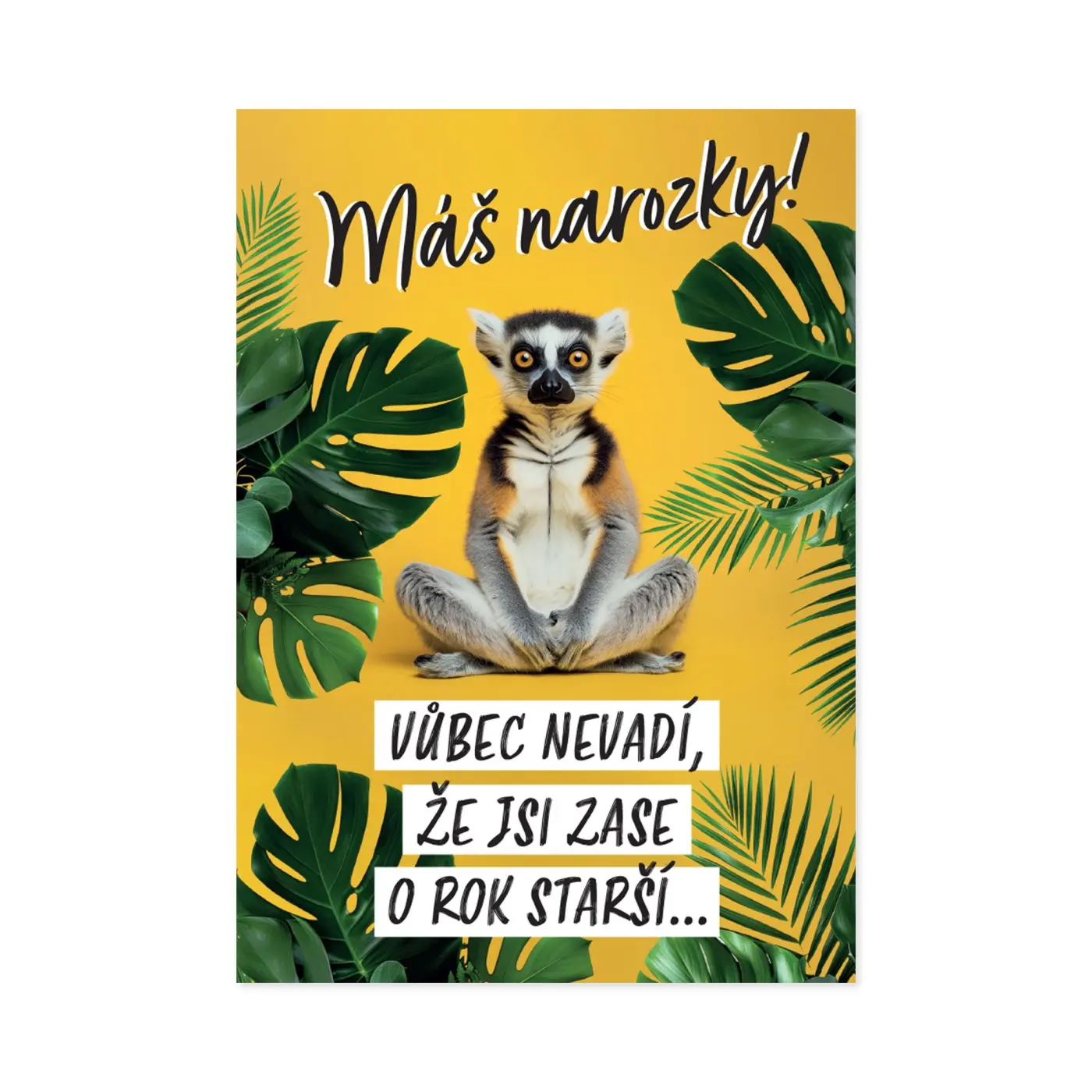 Hrací přání k narozeninám - Lemur - Albi