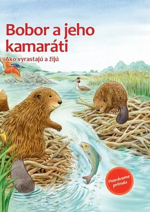 Der kleine Biber und die Tiere am Fluss - Friederun Reichenstetter