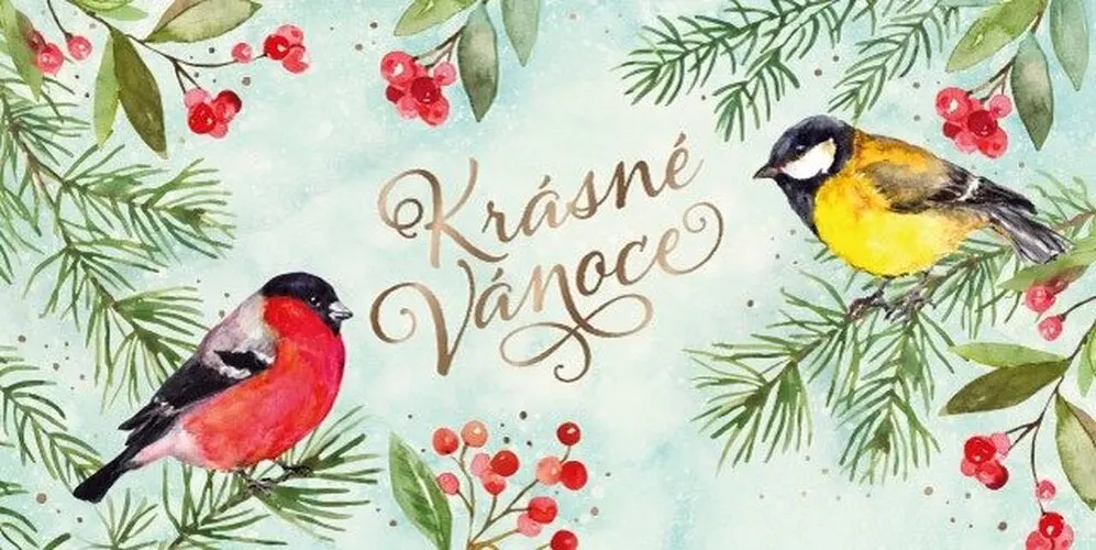 Vánoční obálka na peníze - Krásné Vánoce - Albi