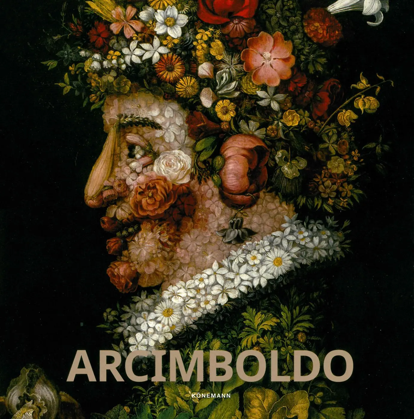 Arcimboldo - Armelle Fémelat