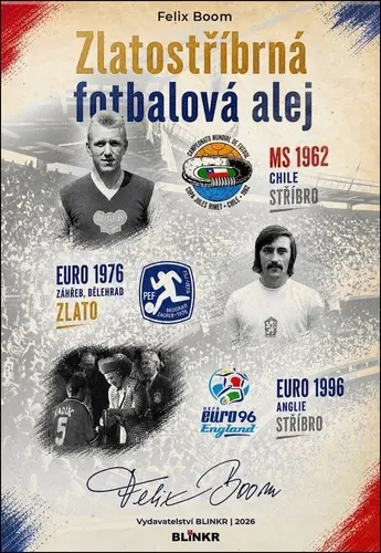 Zlatostříbrná fotbalová alej - Felix Boom