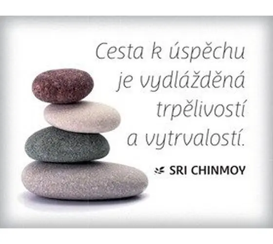 Magnet na lednici - Cesta k úspěchu je vydlážděná trpělivostí a vytrvalostí - Sri Chinmoy