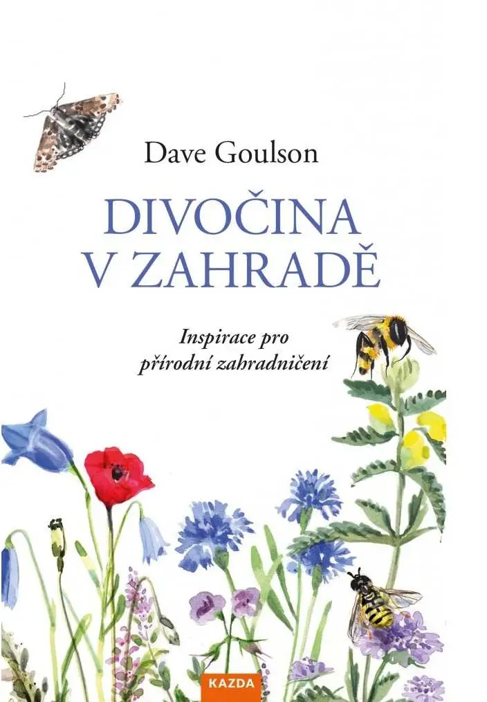 Divočina v zahradě