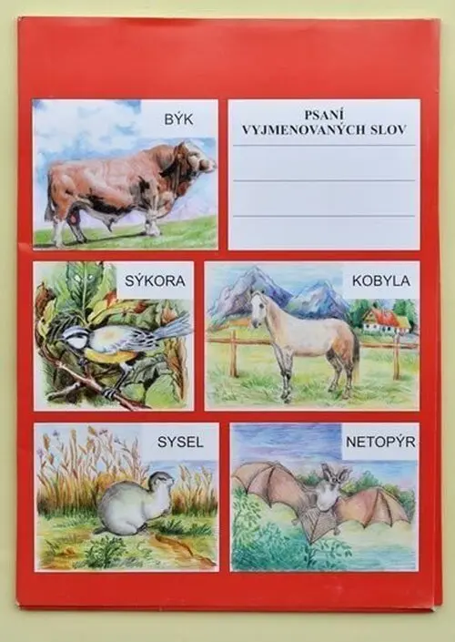 Psaní vyjmenovaných slov - Dobruška Flösslerová