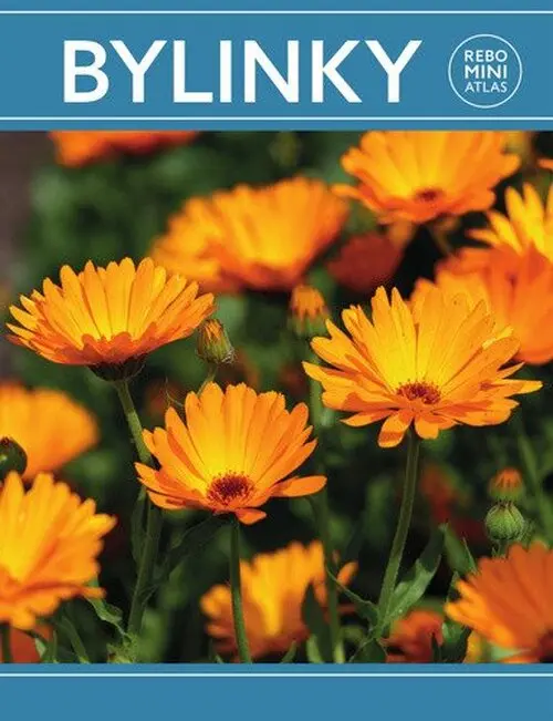 Bylinky miniatlas
