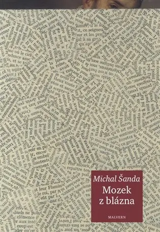 Mozek z blázna - Michal Šanda