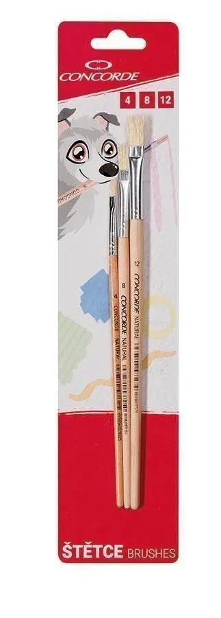 Sada štětců Concorde Natural - ploché 3ks, blistr