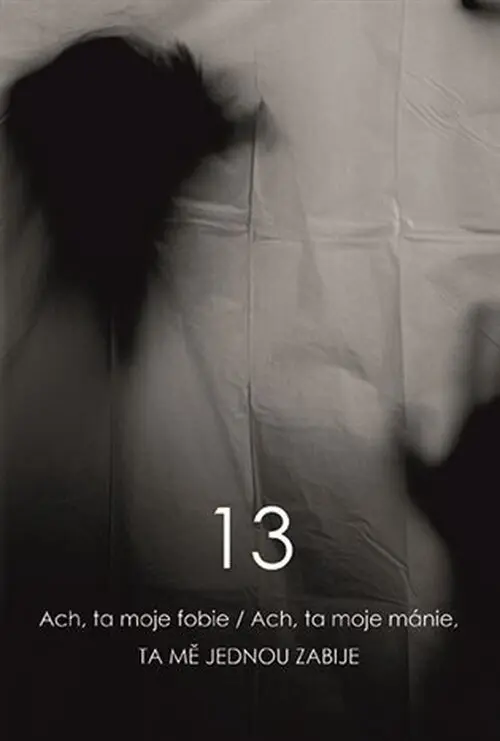 13 - kolektiv autorů