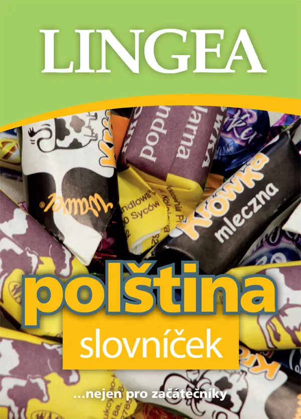 Polština slovníček - kolektiv autorů