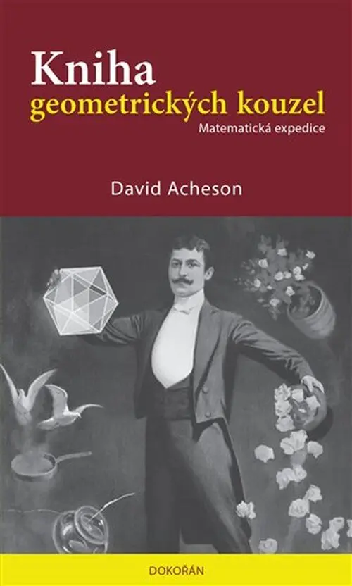 Kniha geometrických kouzel - Matematická expedice - David Acheson