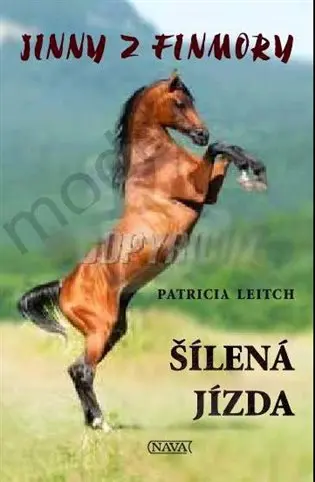 Jinny z Finmory 2 - Divoká jízda - Patricia Leitch