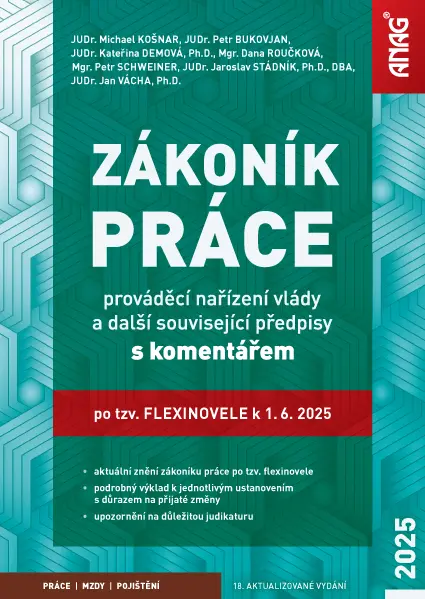 Zákoník práce, prováděcí nařízení vlády a další související předpisy s komentářem po tzv. flexinovel
