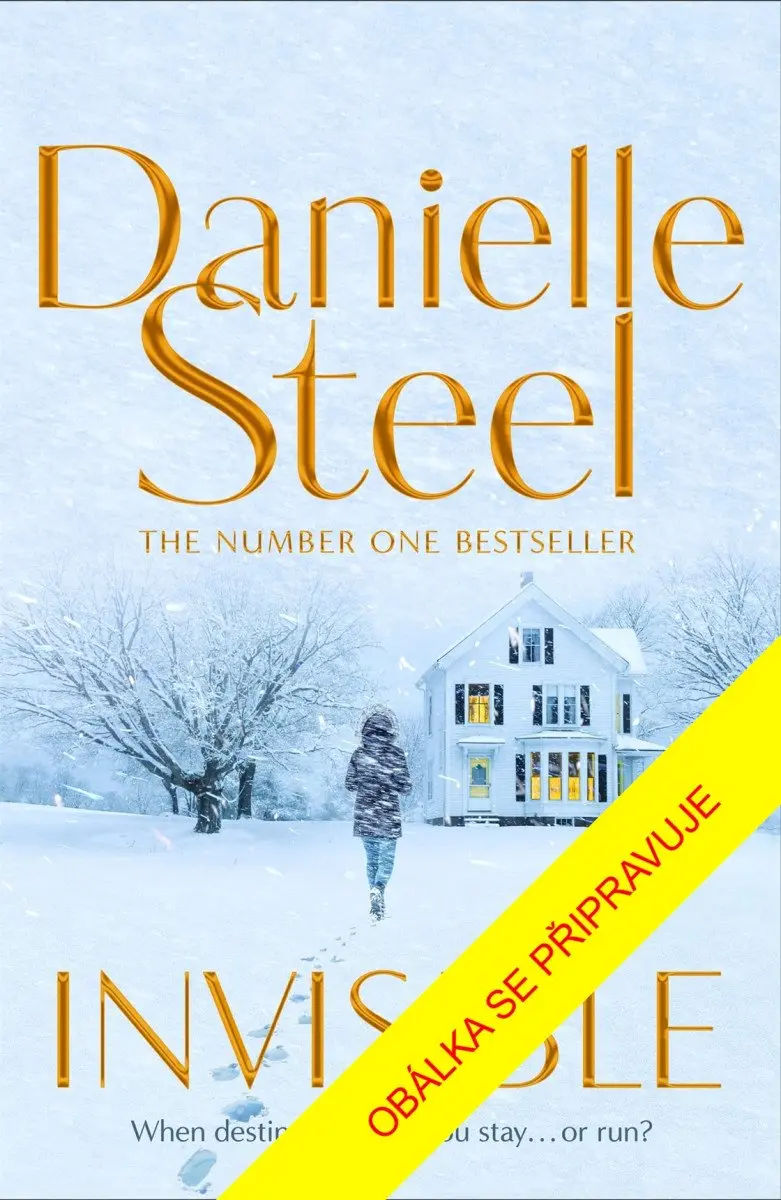 Neviditelná - Danielle Steel