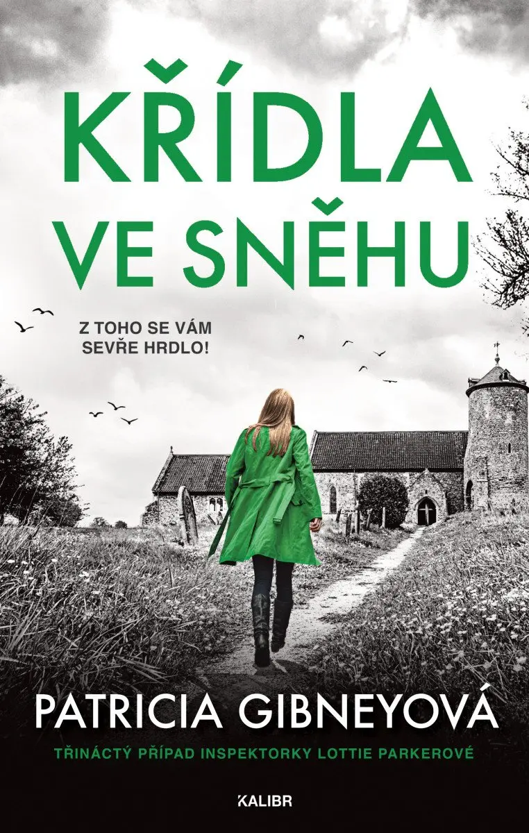 Křídla ve sněhu