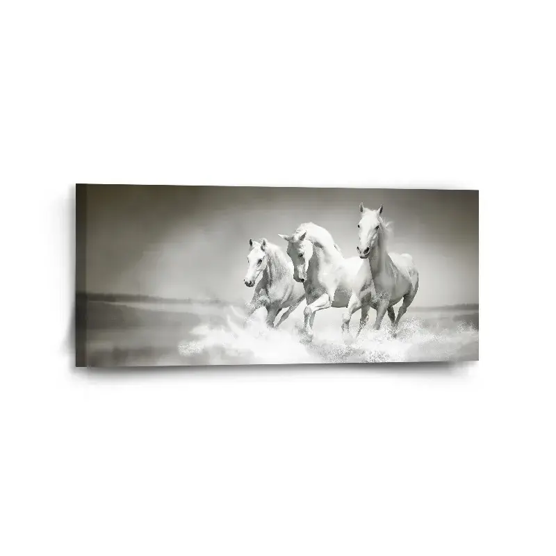 Obraz Bílí koně - 110x50 cm
