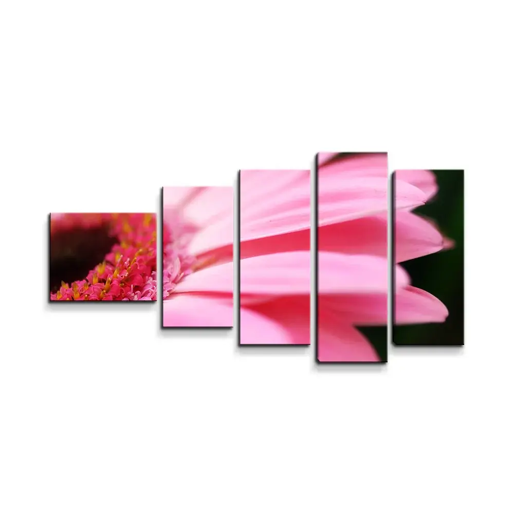 Obraz - 5-dílný Růžová gerbera - 100x60 cm
