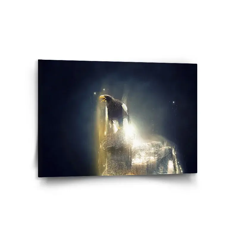 Obraz Orel - 120x80 cm