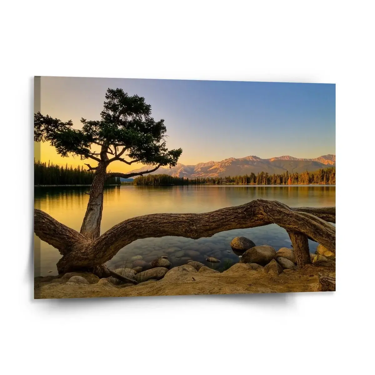 Obraz Strom u jezera - 150x110 cm