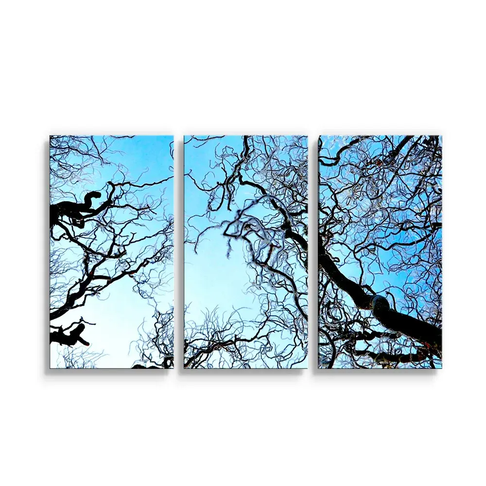Obraz - 3-dílný Holé větve - 120x80 cm