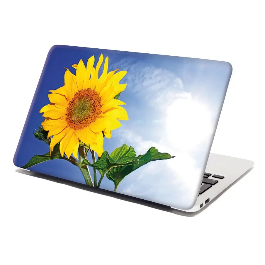 Samolepka na notebook Slunečnice 2 - 29x20 cm