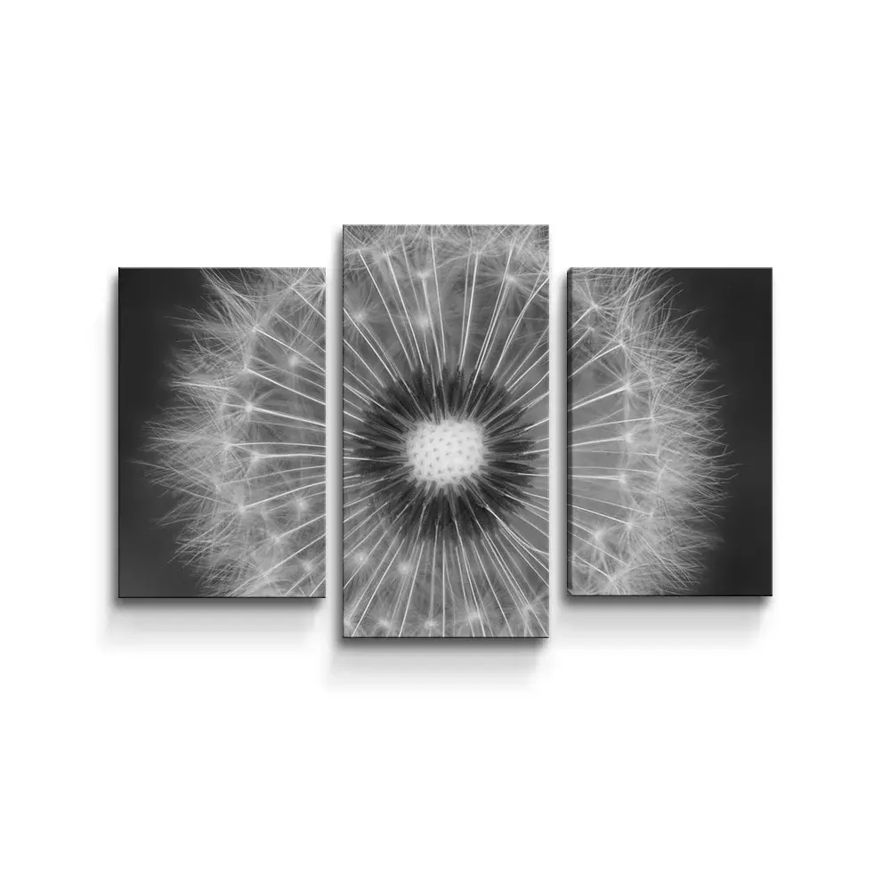 Obraz - 3-dílný Černobílá pampeliška - 75x50 cm