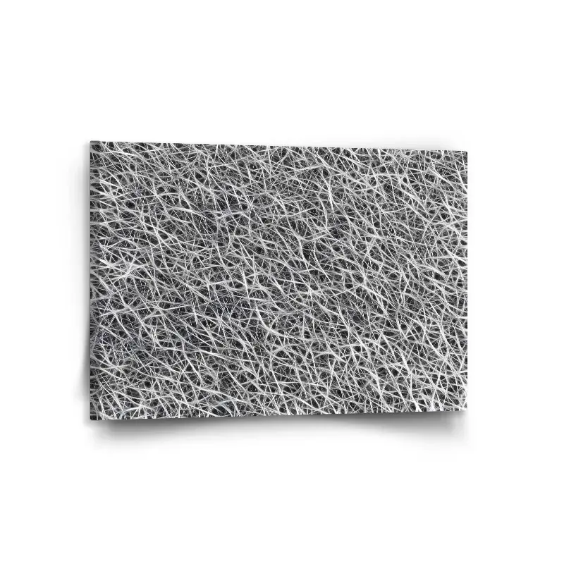 Obraz Bílá vlákna - 120x80 cm