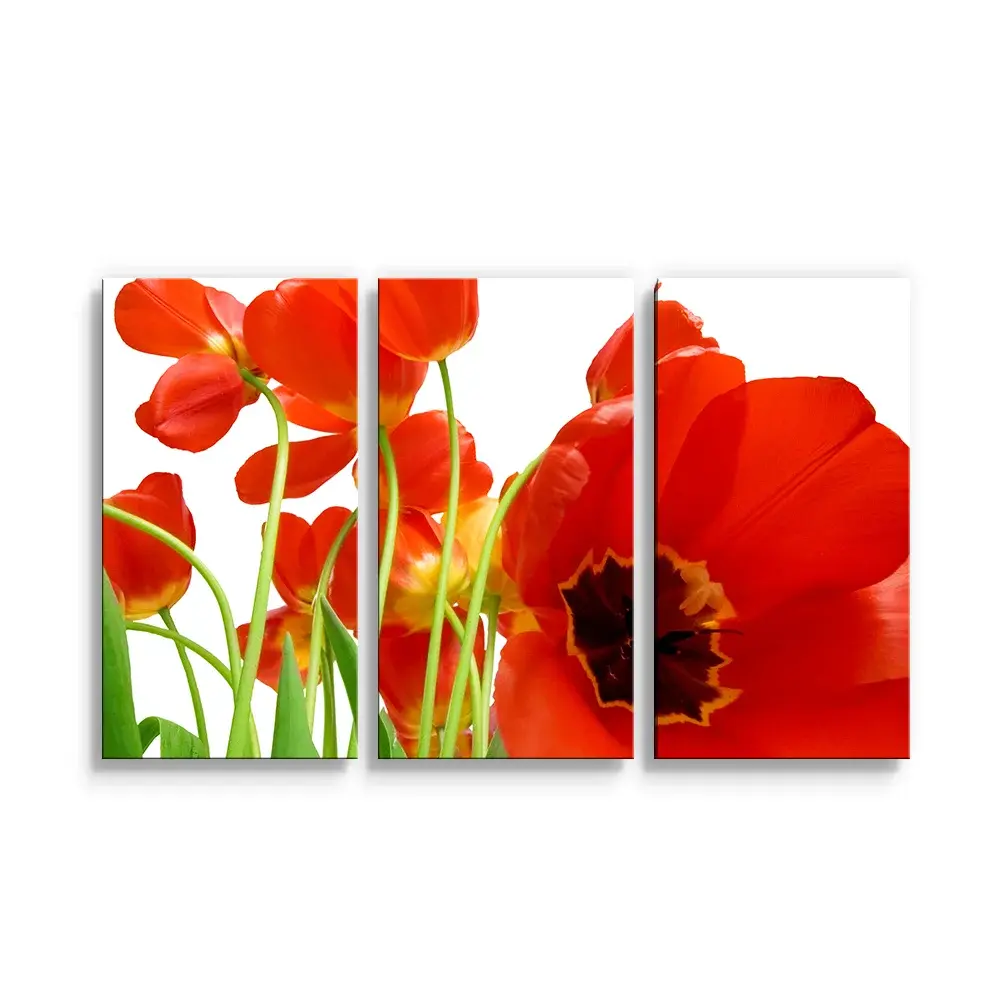 Obraz - 3-dílný Tulipány - 120x80 cm