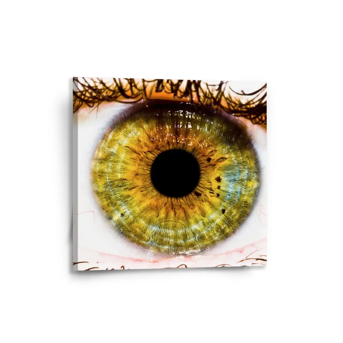 Obraz Oko - 50x50 cm