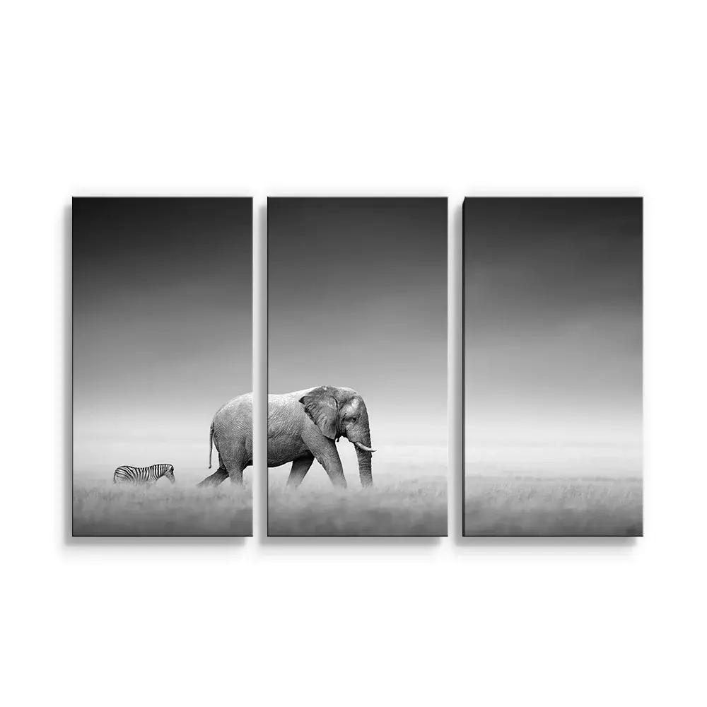 Obraz - 3-dílný Slon a zebra - 120x80 cm