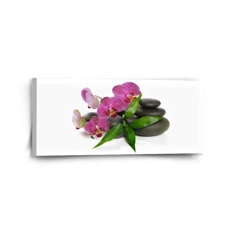 Obraz Orchideje a kameny - 110x50 cm