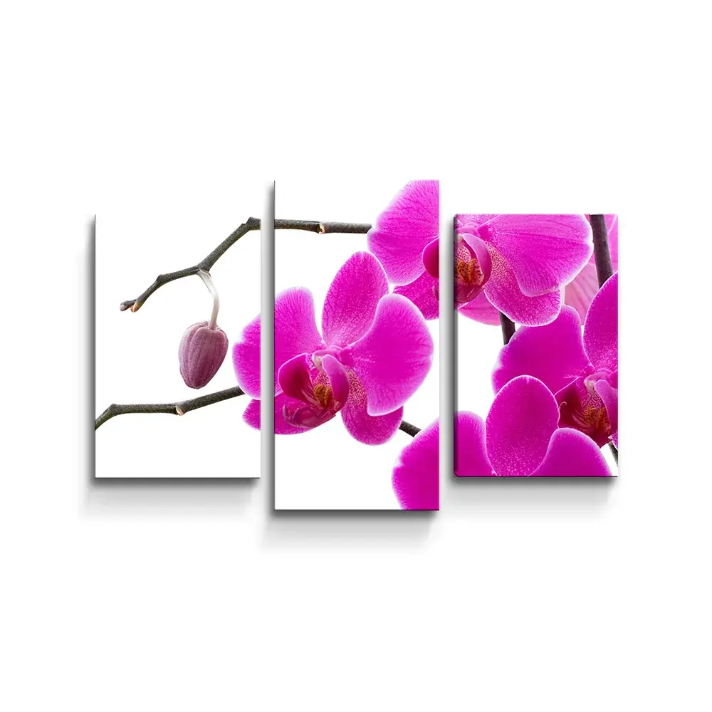 Obraz - 3-dílný Fialové orchideje - 75x50 cm