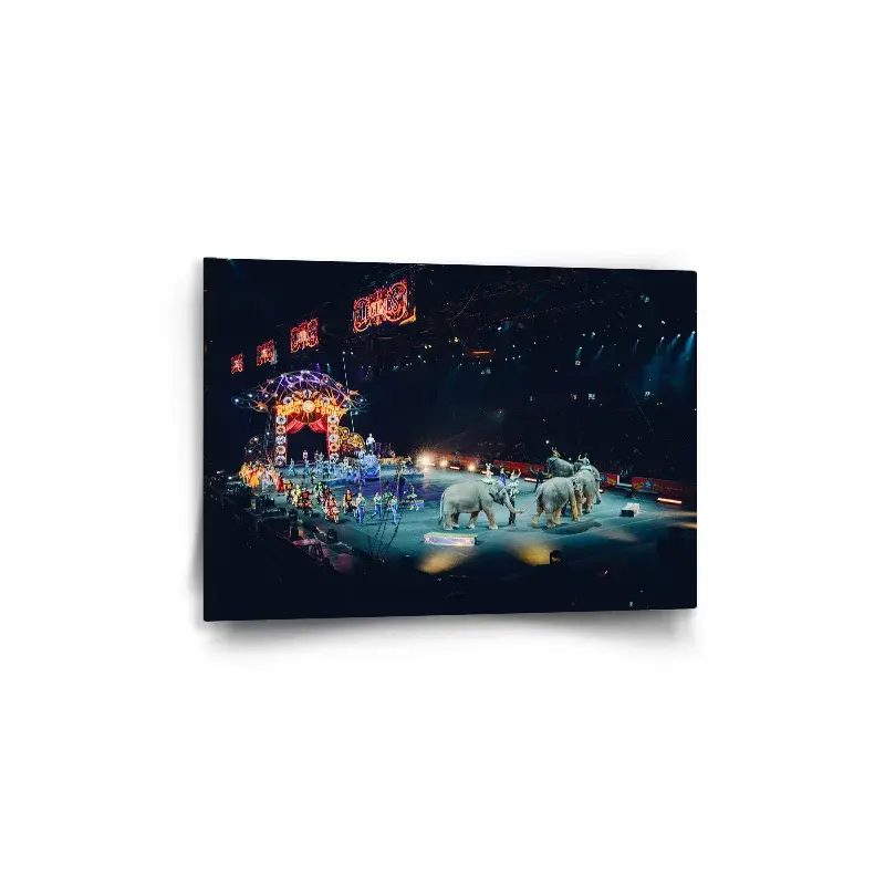 Obraz Cirkus - 60x40 cm