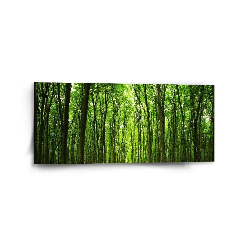 Obraz Cesta v lese - 110x50 cm