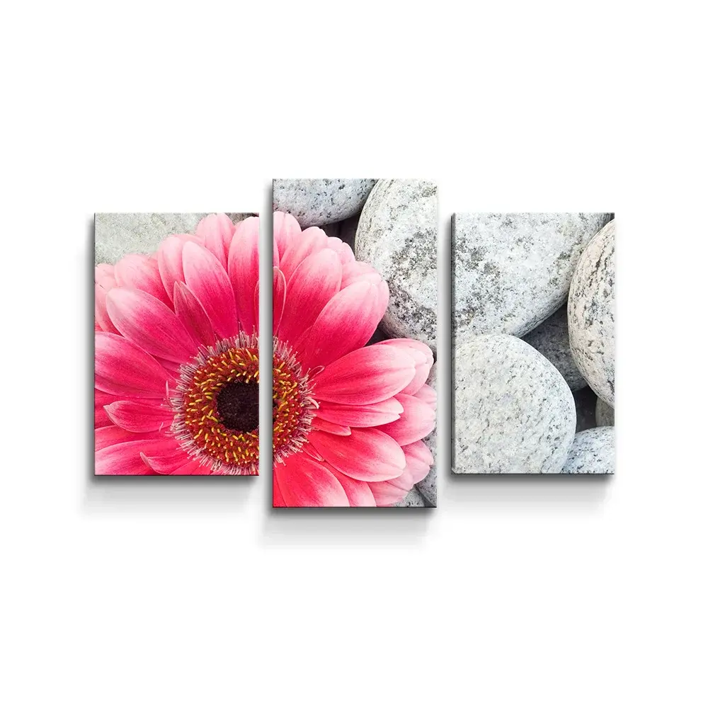 Obraz - 3-dílný Gerbera na kamenech - 75x50 cm
